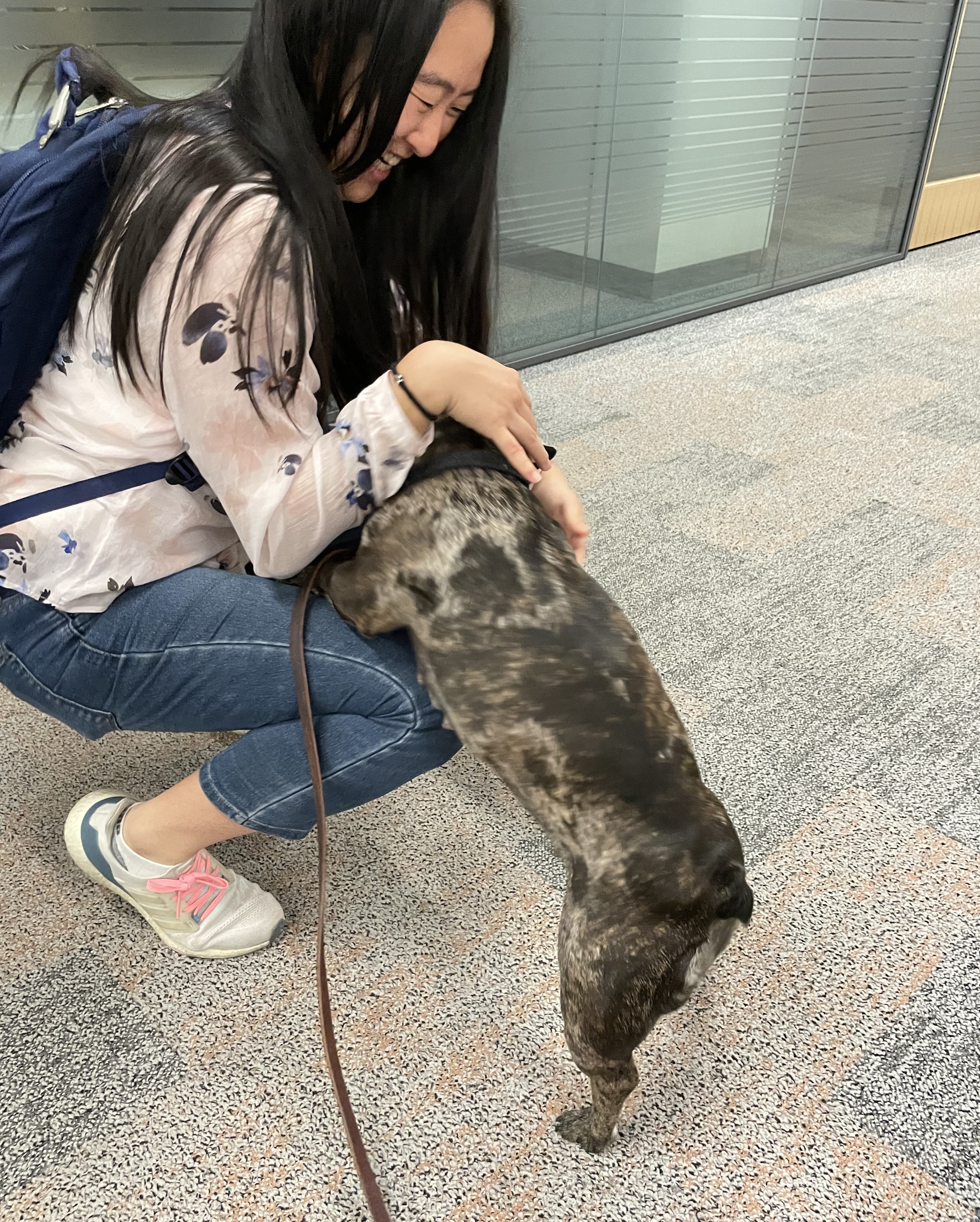 Michelle with Cookie (a French bulldog)