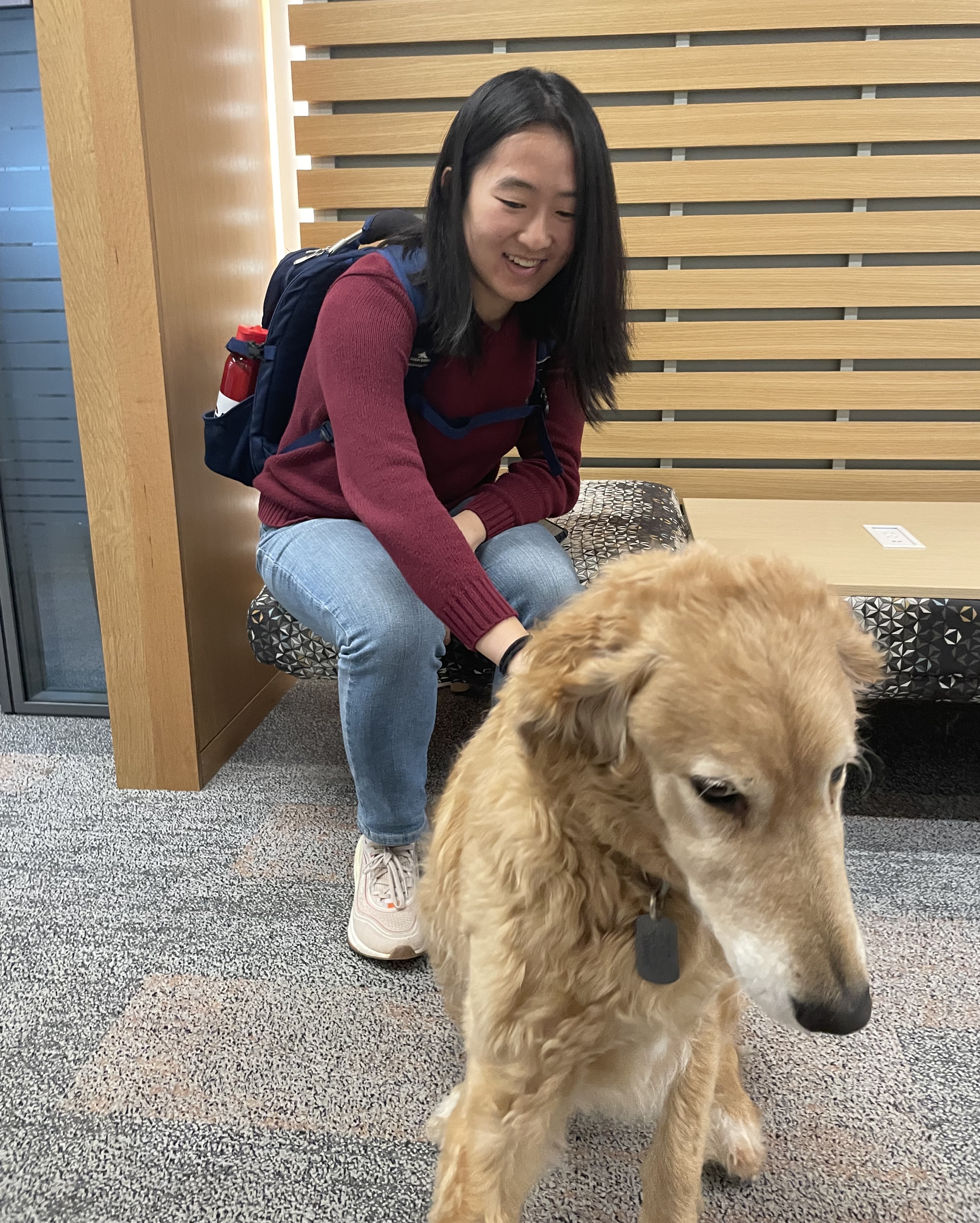 Michelle with Mozart (a goldendoodle)